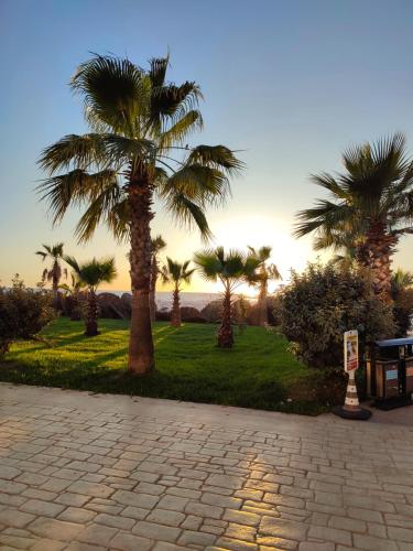 a group of palm trees in a park with a sidewalk at Sabi Apartment Golem Qerret in Golem