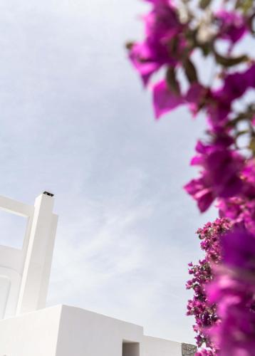 a bunch of purple flowers next to a white building at Philosophy of Mykonos Boutique Hotel in Mýkonos City