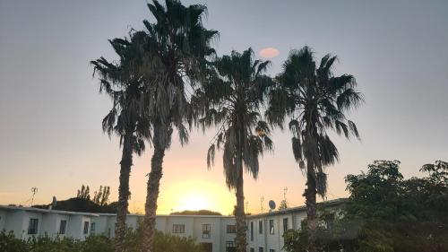 two palm trees in front of a building with the sunset at Big Save at St Lukes Quiet House in Auckland