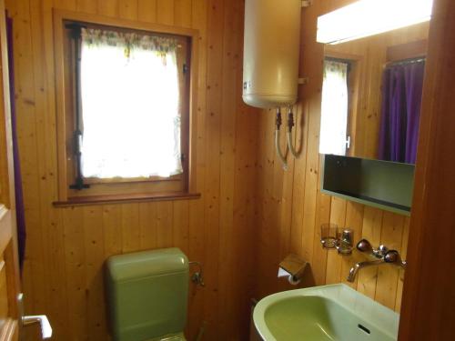 uma casa de banho com um WC verde e um lavatório em La Montagnette em Château-d'Oex