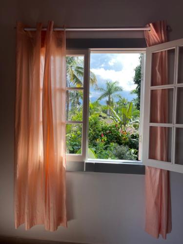 a window with a view of a palm tree at Casa Arte Cabore in Paraty