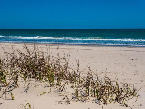 a beach with some grass in the sand and the ocean at Zion East in Topsail Beach