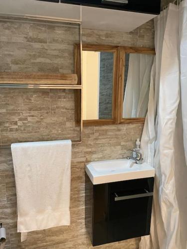 une salle de bain avec un lavabo et un miroir dans l'établissement Studio proche du Luxembourg, à Aumetz