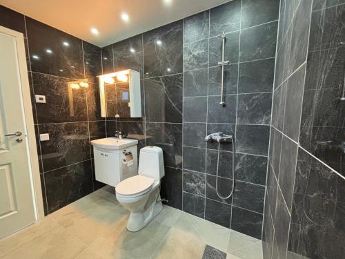a bathroom with a toilet and a shower at Fint parhus in Falkenberg