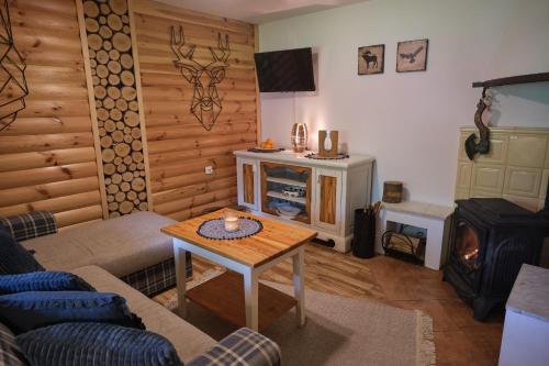 a living room with a couch and a table and a stove at Bieszczadzka Samotnia in Cisna