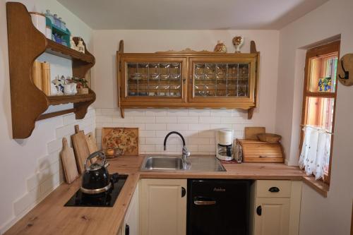 a kitchen with a sink and a counter top at Bieszczadzka Samotnia in Cisna