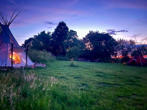 a tent in the middle of a field at Romantic Wildlife Tipi Teepee Tomnatic Bihor Romania Apuseni in Tomnatic
