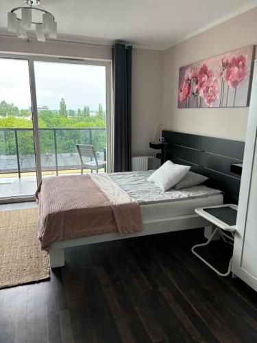 Kawalerka na Targowej