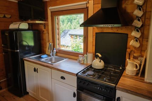 a kitchen with a stove and a sink and a refrigerator at Bieszczadzka Samotnia in Cisna
