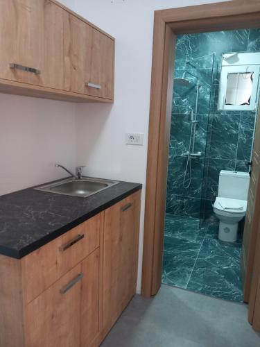 a bathroom with a sink and a shower with a toilet at Haus Carla in Ulcinj