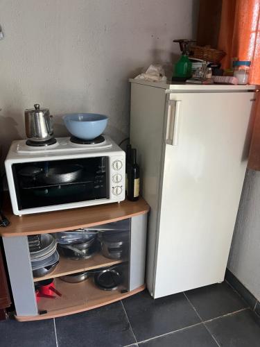a small kitchen with a microwave and a refrigerator at Skadar Lake View in Vranjina