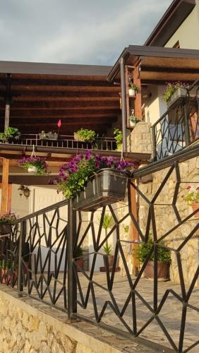 a balcony with a pot of flowers on it at Guest House Stevovski in Ohrid