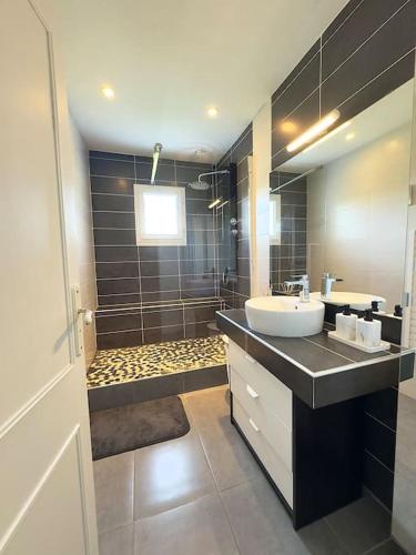 une salle de bain avec un lavabo et une douche dans l'établissement Maison chaleureuse avec piscine, à Izon