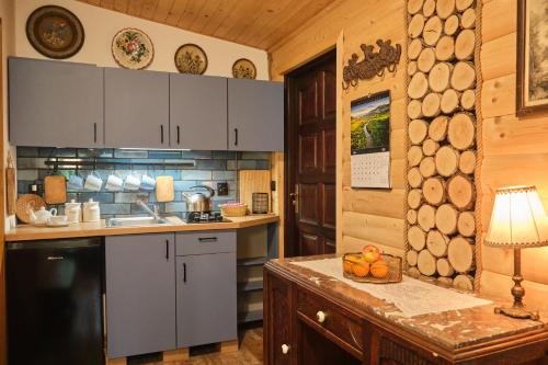 a kitchen with white cabinets and a counter top at Bieszczadzka Samotnia in Cisna