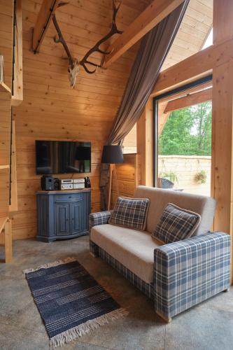 a living room with a couch and a tv at Bieszczadzka Samotnia in Cisna