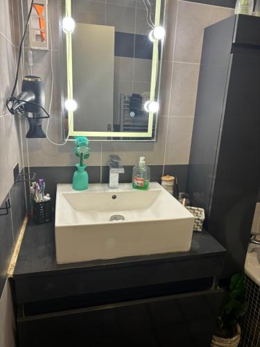 une salle de bain avec un lavabo blanc et un miroir dans l'établissement Maison pour les 24 h du Mans, à Arnage