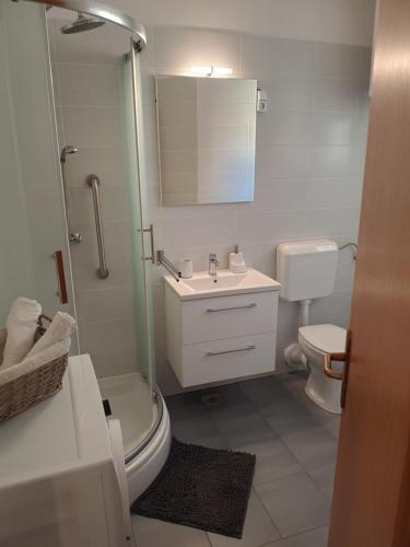 Apartment Rokova 1