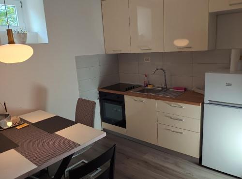 Apartment Rokova 1