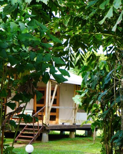 a tiny house under construction behind a tree at Houttuyn Wellness River Resort in Paramaribo