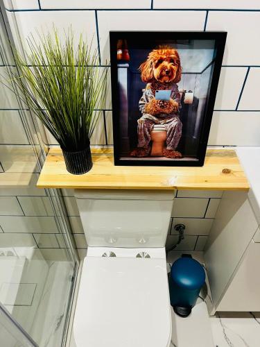 a picture of a dog sitting on a toilet in a bathroom at Refugio do Gato in Palmela