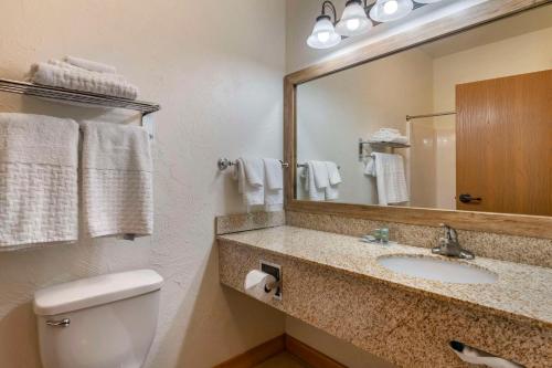 a bathroom with a sink and a toilet and a mirror at Best Western Devils Tower Inn 