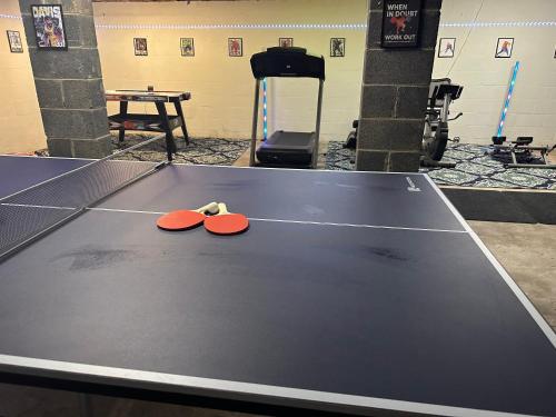 a ping pong table with two ping pong balls on it at Little Elves Overlook in Sparta