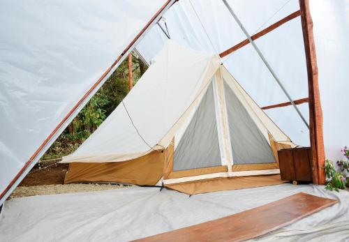 a tent is set up in a room at Escapadita al Bosque in San Isidro