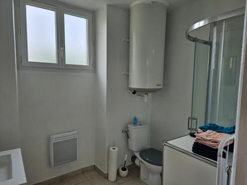 une salle de bain avec toilettes et fenêtre dans l'établissement Les Gîtes de Salignac-Eyvigues, à Salignac Eyvigues