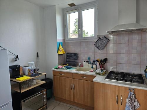 une cuisine avec un évier et une cuisinière dans l'établissement Les Gîtes de Salignac-Eyvigues, à Salignac Eyvigues