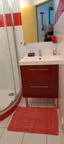 une salle de bain avec un lavabo, un miroir et une douche dans l'établissement les goelettes, à Saint-Cyprien