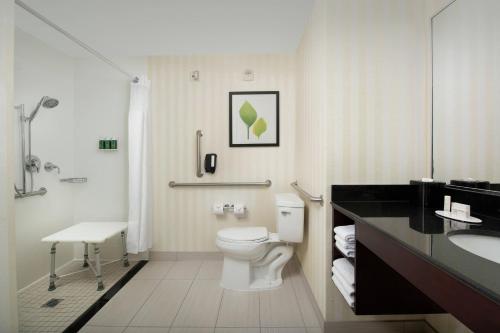 リンティカム・ハイツにあるFairfield Inn & Suites Baltimore BWI Airportのバスルーム(白いトイレ、シンク付)