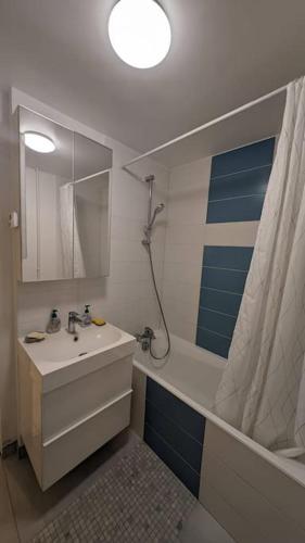 une salle de bain avec un lavabo, une baignoire et une douche dans l'établissement L'appartement du Parc, à Cachan