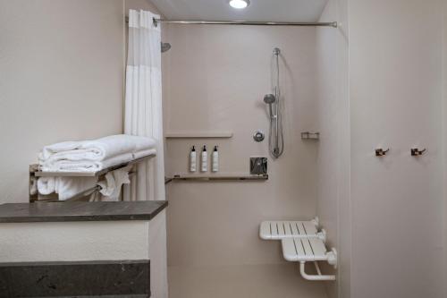 a bathroom with a shower and a sink at Fairfield by Marriott Inn & Suites Austin Georgetown in Georgetown