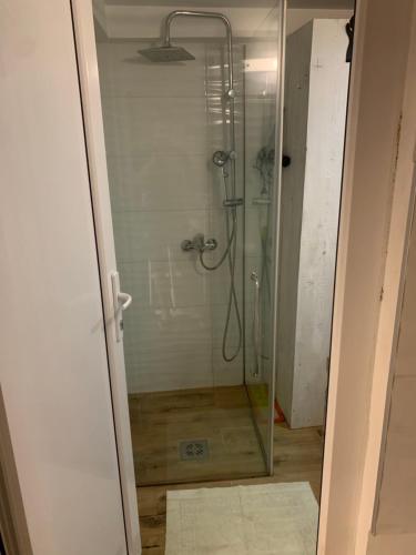 a shower with a glass door in a bathroom at Apartman Nina BANOVO BRDO in Belgrade