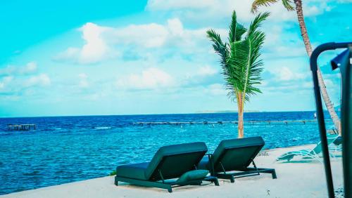 two chairs and a palm tree on the beach at Pension Irivai, appartement UO UO 3 chambres vue mer in Uturoa