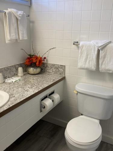 a white bathroom with a toilet and a sink at Slumber Lodge in Hope