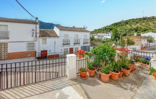 a row of plants in pots on a fence at Nice Home In Algodonales With Wifi in Algodonales