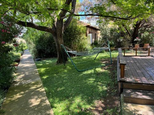 Sodas prie apgyvendinimo įstaigos אמיתי נוף קסום