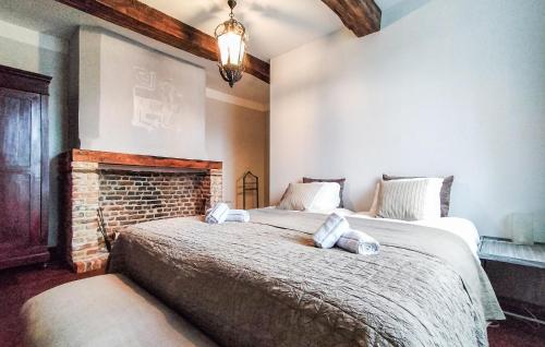 a bedroom with two beds and a fireplace at Amazing Home In Gedinne With Sauna in Gedinne