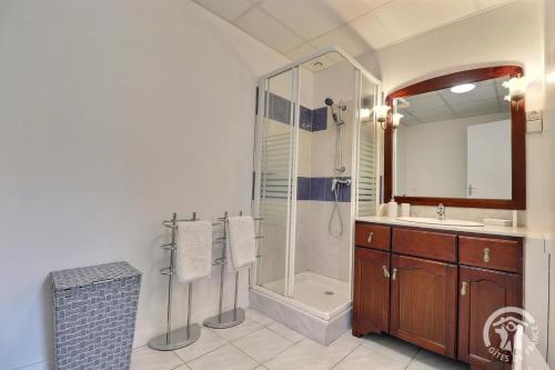 a bathroom with a shower and a sink at L'etang in Mézières-sur-Couesnon