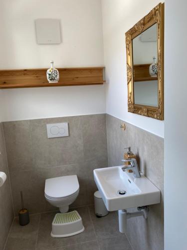 a bathroom with a toilet and a sink and a mirror at Cottage Bad Ischl in Bad Ischl
