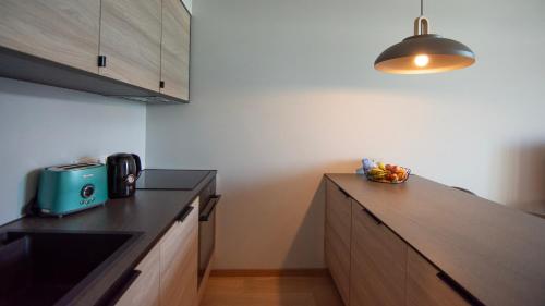 Dapur atau dapur kecil di UUS Luksuslik korter villas,konditsioneer! Tasuta parkimine maja aluses kinnises parklas!