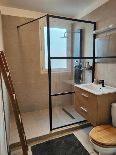 bagno con doccia, lavandino e servizi igienici di Appartement T2 - Sainte-Marie - 10 min de l'aéroport a Sainte-Marie