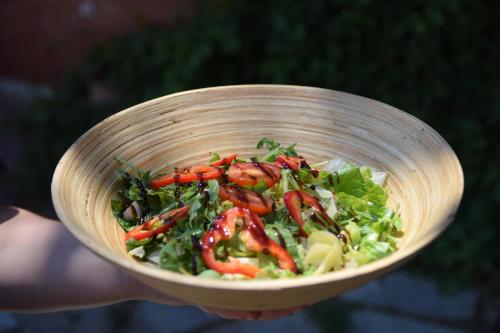 a person holding a bowl of salad with peppers and lettuce at Four Seasons Hotel in Trílofon