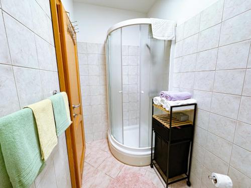 ein Bad mit einer Dusche und einem Waschbecken in der Unterkunft Studio Apartment Mandic in Dubrovnik