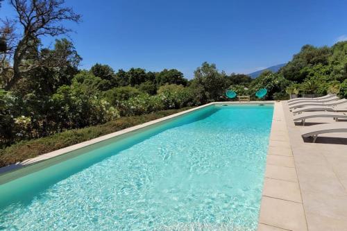 une piscine avec des chaises longues à côté dans l'établissement Villa Olmeccia piscine 14 m, clim, plein Sud, à Porto-Vecchio
