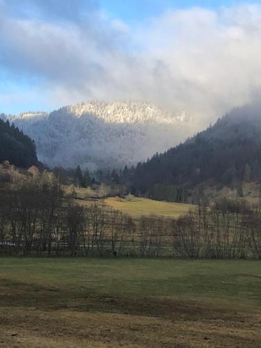 a snow covered mountain in the distance with a field and trees at Forest Apartment-Forest Escape Menzenschwand in St. Blasien