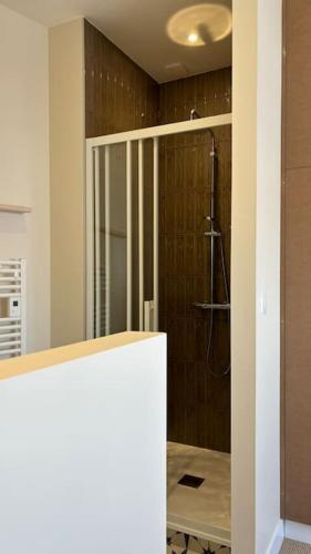 une salle de bain avec une douche avec une porte vitrée dans l'établissement Maison Ausiphica, à Arcachon