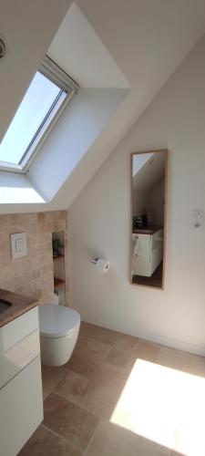 La salle de bains est pourvue de toilettes, d'un miroir et d'un lavabo. dans l'établissement Cadre Verdoyant & Plage à Pied, au calme, à Le Minihic-sur-Rance