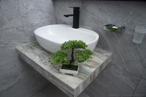 a bathroom sink with two potted plants on a counter at Ever Breeze Ella Hotel in Ella